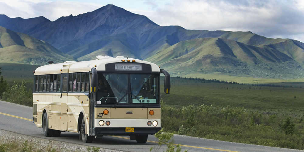 denali national park tour bus